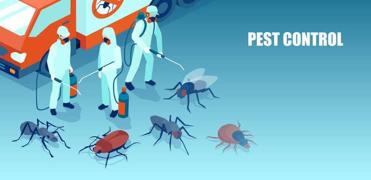 Pest control professional servicing a home